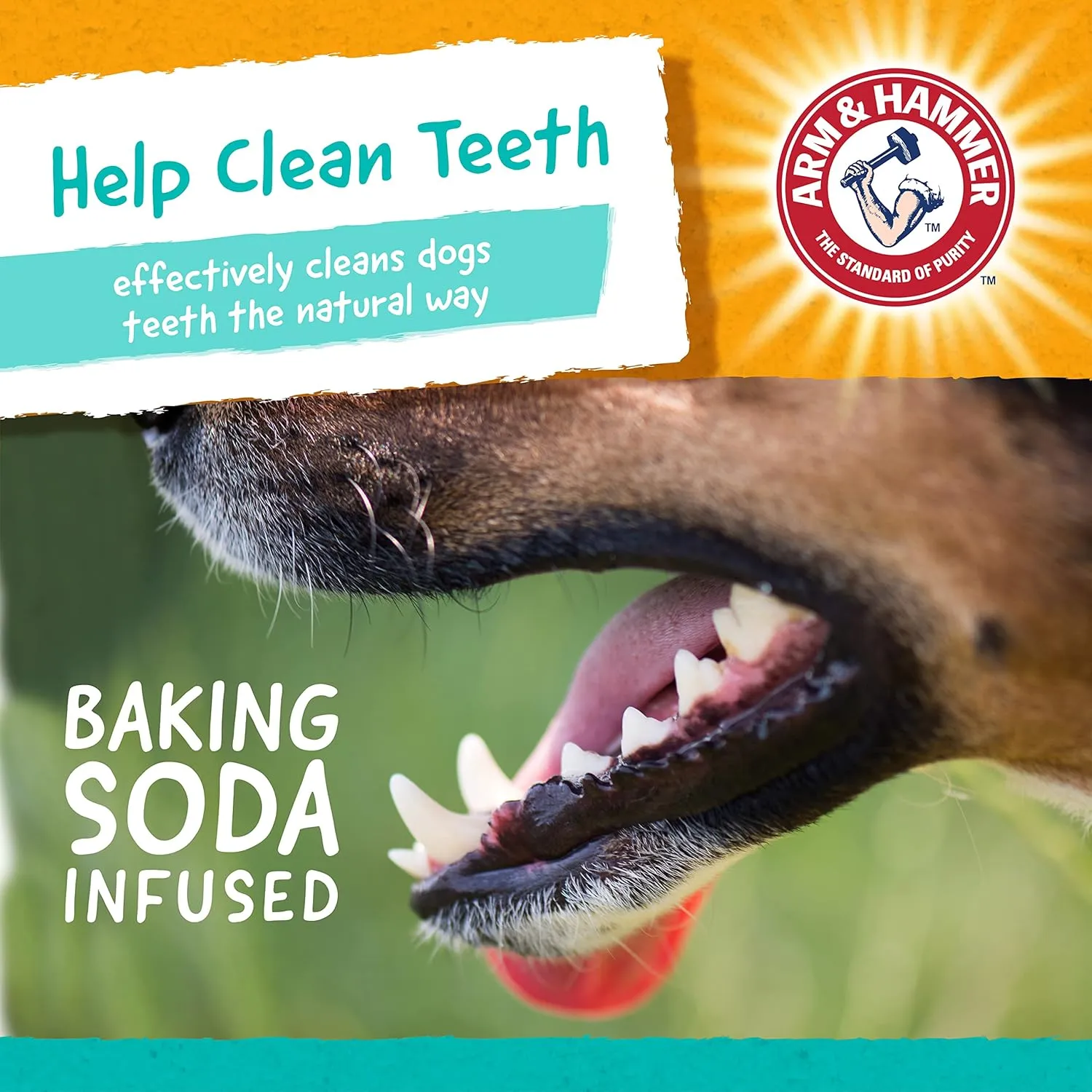 Arm & Hammer for Pets Mighties by TREADZ Dental Treats for Dogs with Baking Soda & Calcium, Help Fight Bad Breath, Plaque & Tartar, Mint, Tough Puffer Shaped, 7 Pcs (Packaging May Vary)