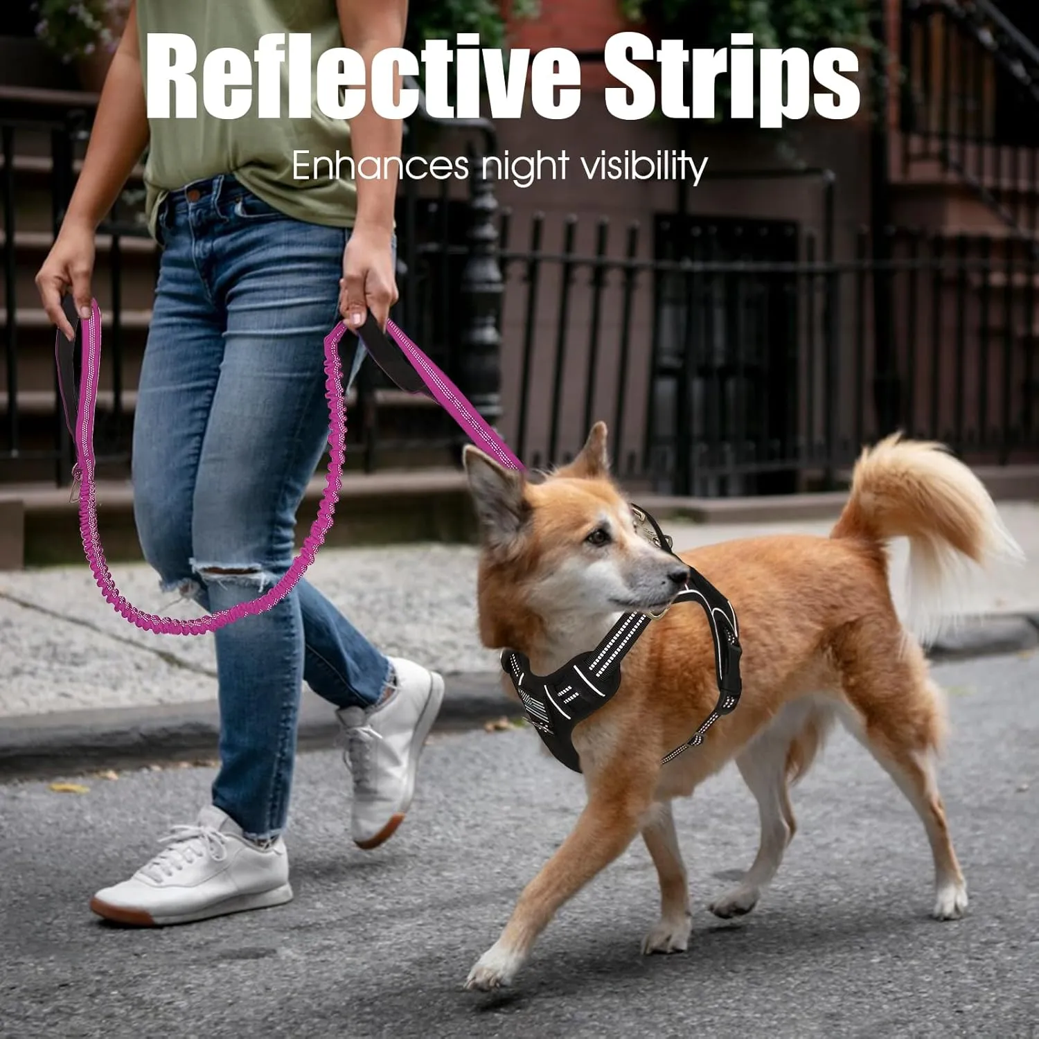 BUMBIN 6Ft Dog Leash - Large & Medium Dogs, Bungee Leash with 2 Handles, No Pull Shock Absorbing, Pink