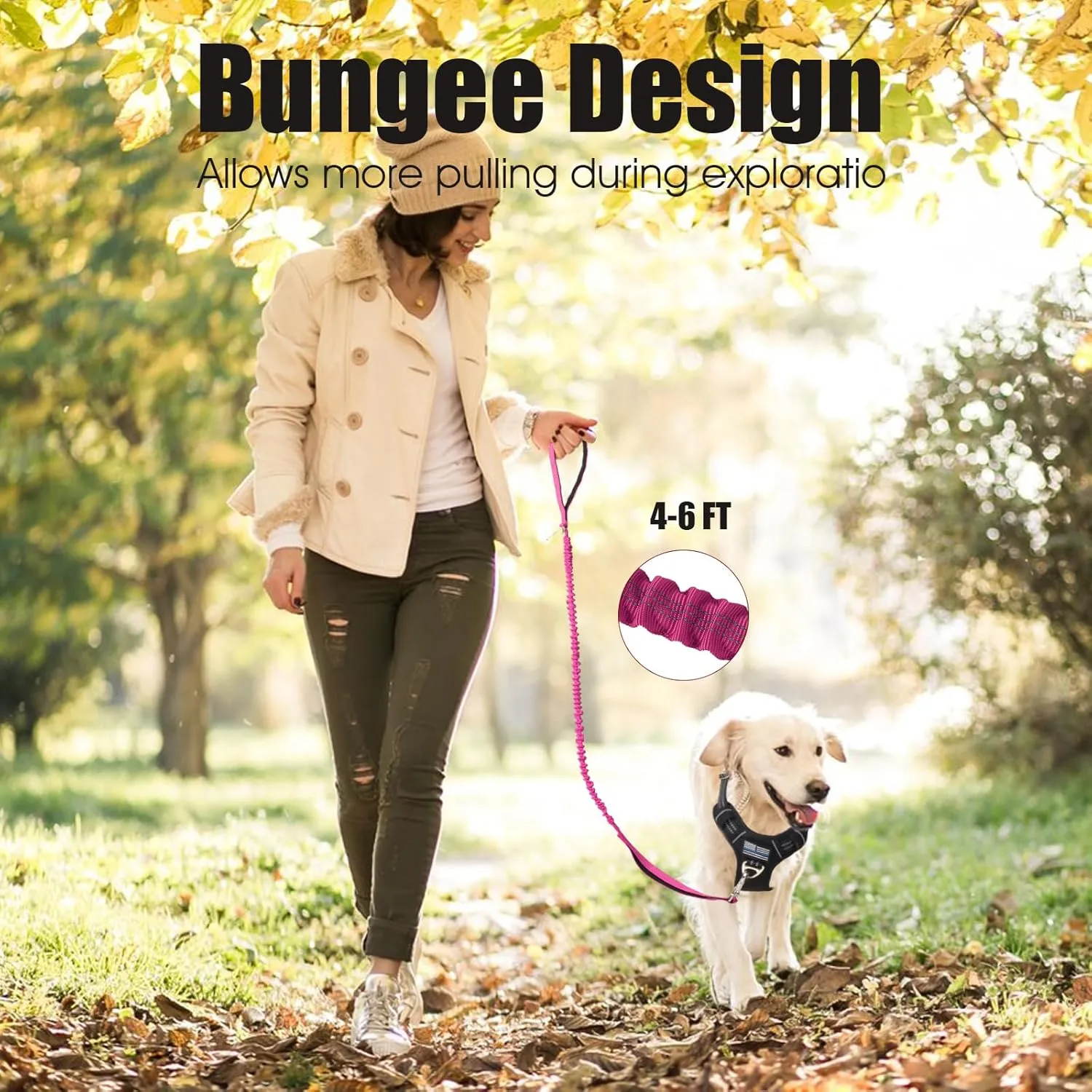 BUMBIN 6Ft Dog Leash - Large & Medium Dogs, Bungee Leash with 2 Handles, No Pull Shock Absorbing, Pink