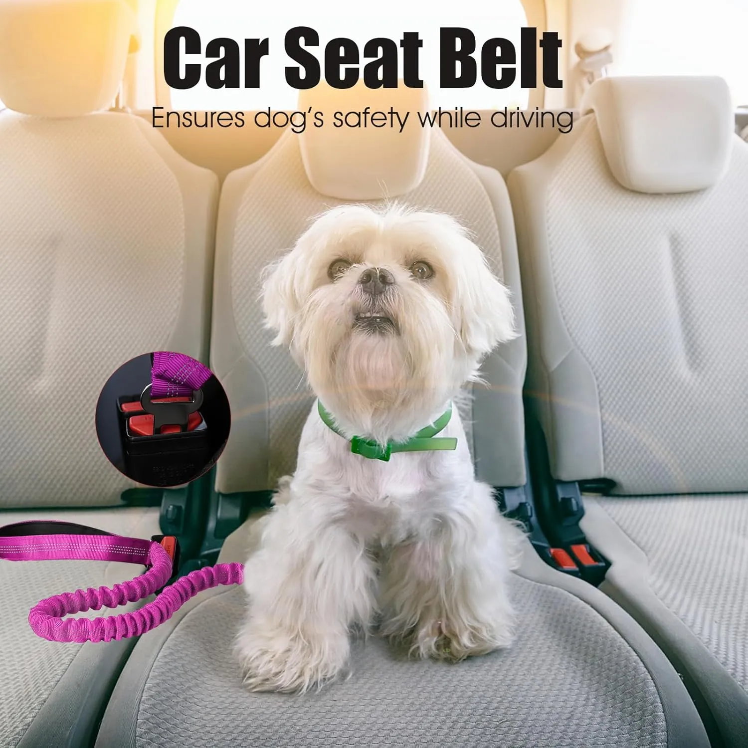 BUMBIN 6Ft Dog Leash - Large & Medium Dogs, Bungee Leash with 2 Handles, No Pull Shock Absorbing, Pink