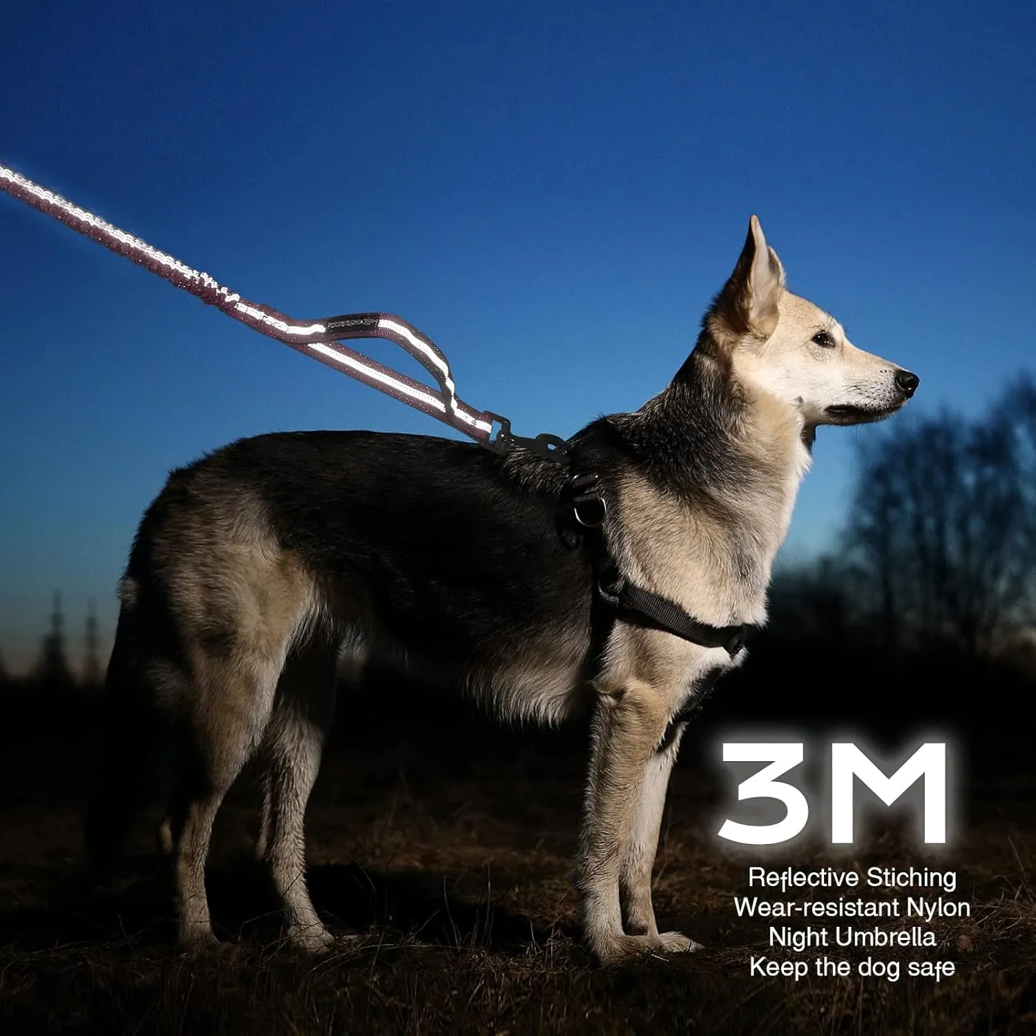 BUMBIN 6Ft Dog Leash - Large & Medium Dogs, Bungee Leash with 2 Handles, No Pull Shock Absorbing, Pink