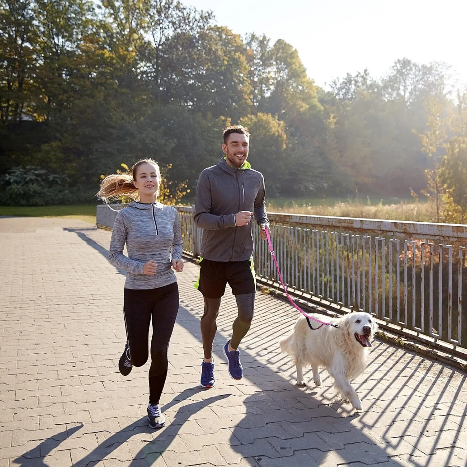 BUMBIN 6Ft Dog Leash - Large & Medium Dogs, Bungee Leash with 2 Handles, No Pull Shock Absorbing, Pink