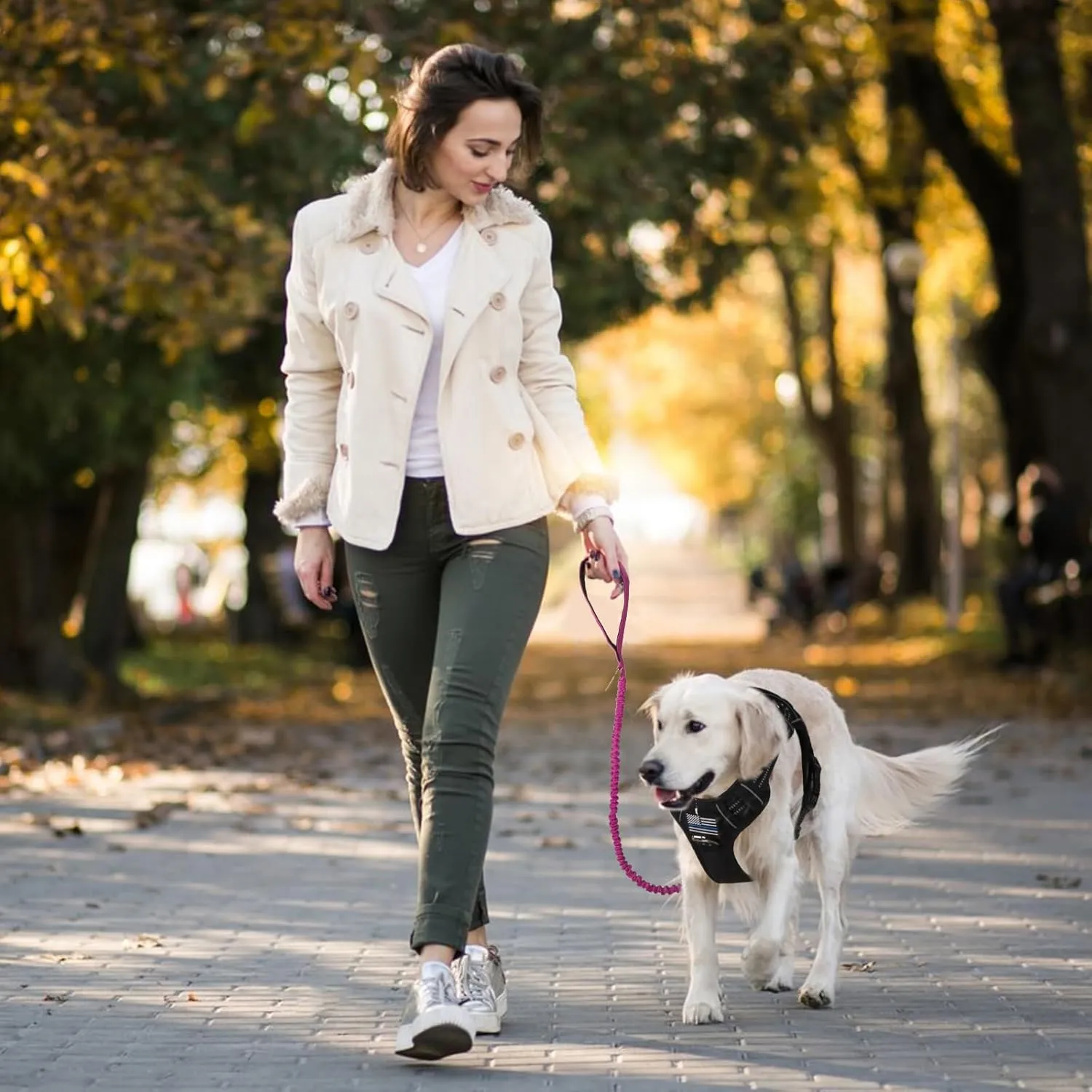 BUMBIN 6Ft Dog Leash - Large & Medium Dogs, Bungee Leash with 2 Handles, No Pull Shock Absorbing, Pink