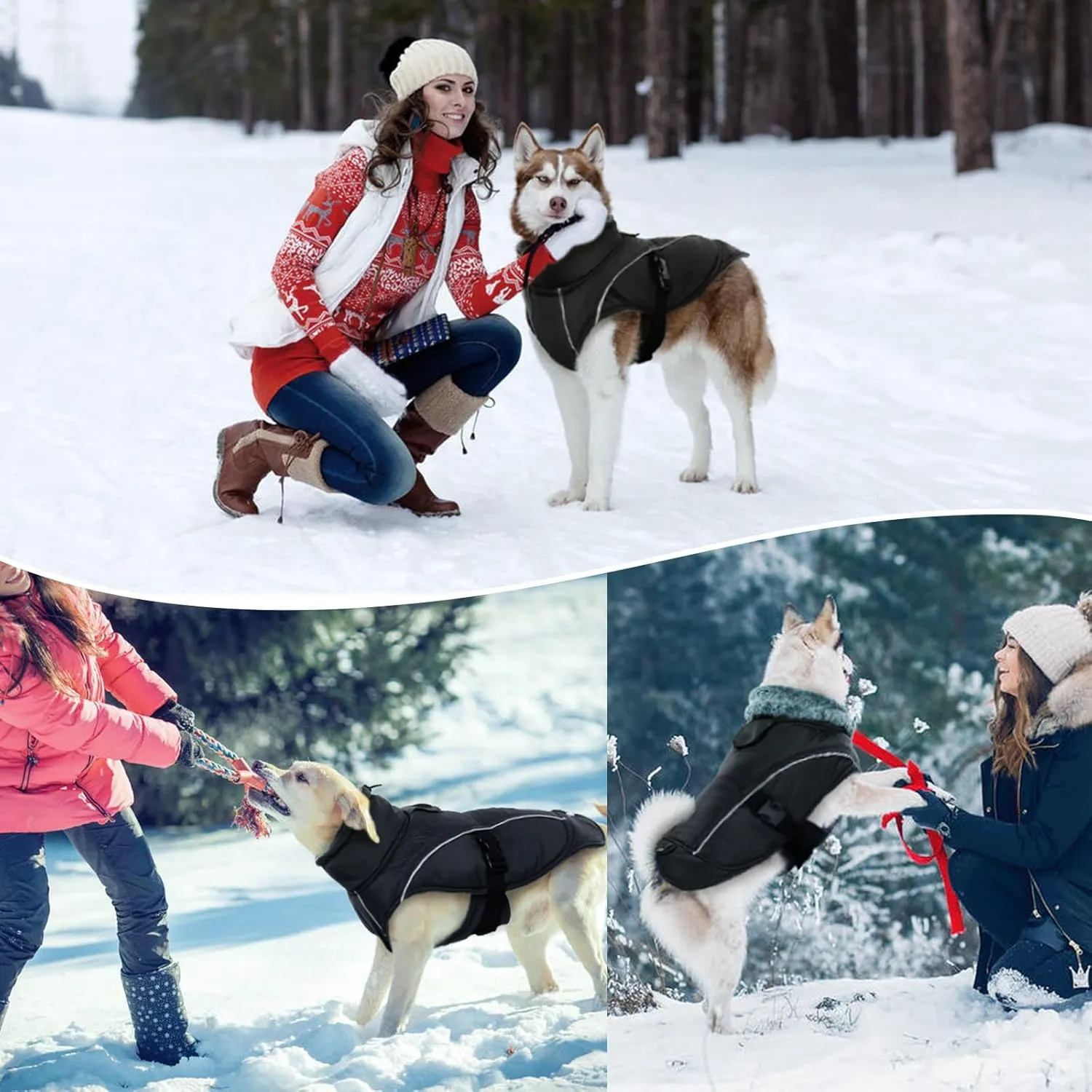 DENTRUN Dog Cold Weather Coats Winter Warm Dog Coat Windproof Cozy Dog Jacket Thick Fleece Vest Water Repellent Apparel with Harness/Leash Hole & Reflective for Outdoor Small Medium Large Dogs