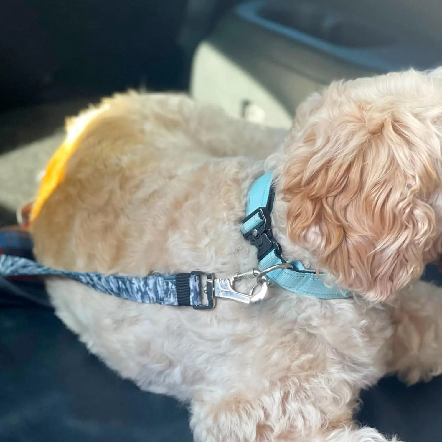 DF Co. Dog Seat Belt | Safe and Comfortable Dog Transportation | Adjustable Length, Anti-Shock Bungee, Universal Heavy Duty Clips | Green Camo