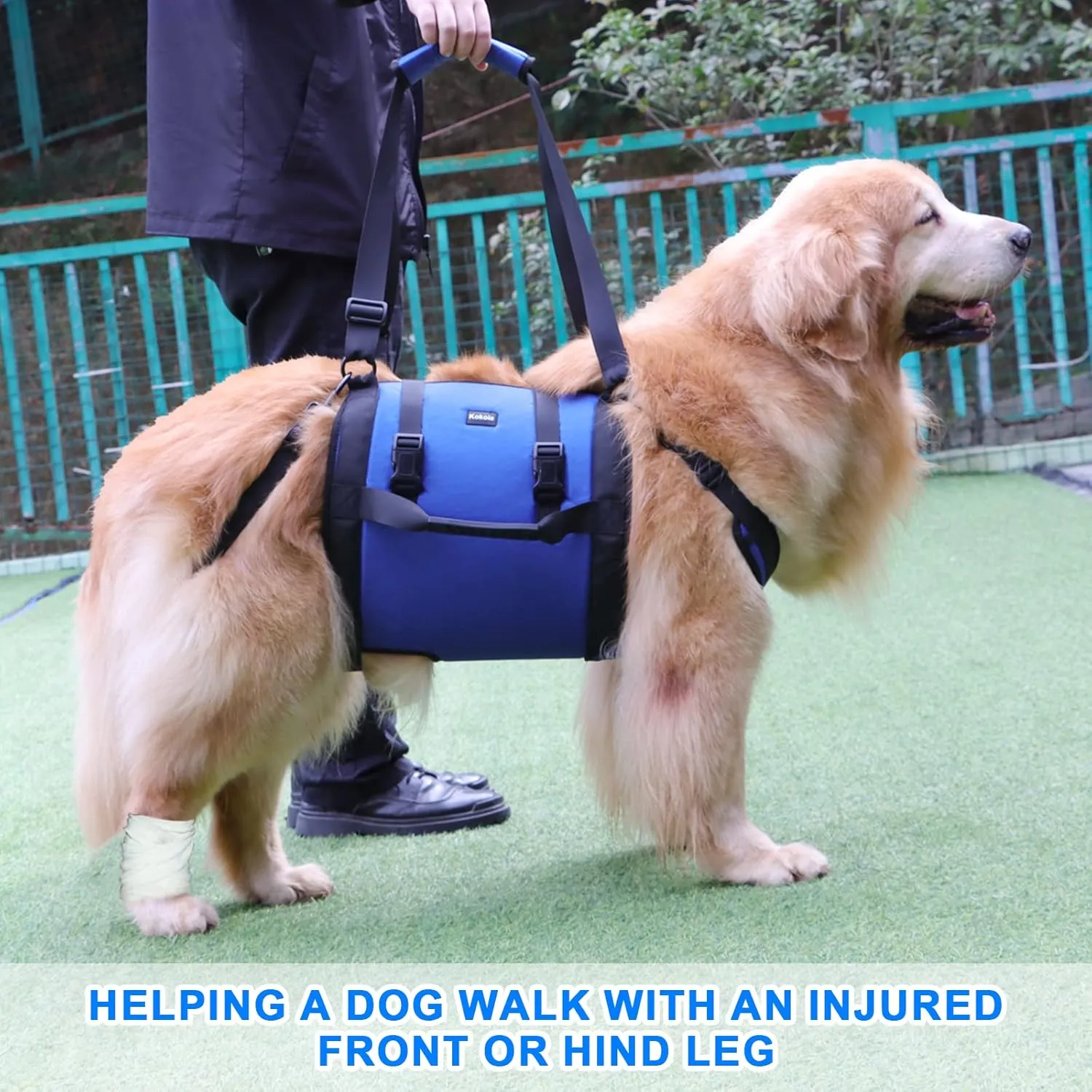Dog Carry Sling, Emergency Backpack Pet Legs Support & Rehabilitation Dog Lift Harness for Large Dogs, Dog Carrier for Senior Dogs Joint Injuries, Arthritis, Up and Down Stairs (Blue, XL)