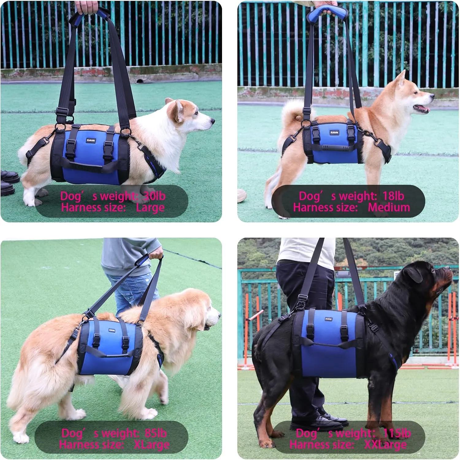 Dog Carry Sling, Emergency Backpack Pet Legs Support & Rehabilitation Dog Lift Harness for Large Dogs, Dog Carrier for Senior Dogs Joint Injuries, Arthritis, Up and Down Stairs (Blue, XL)