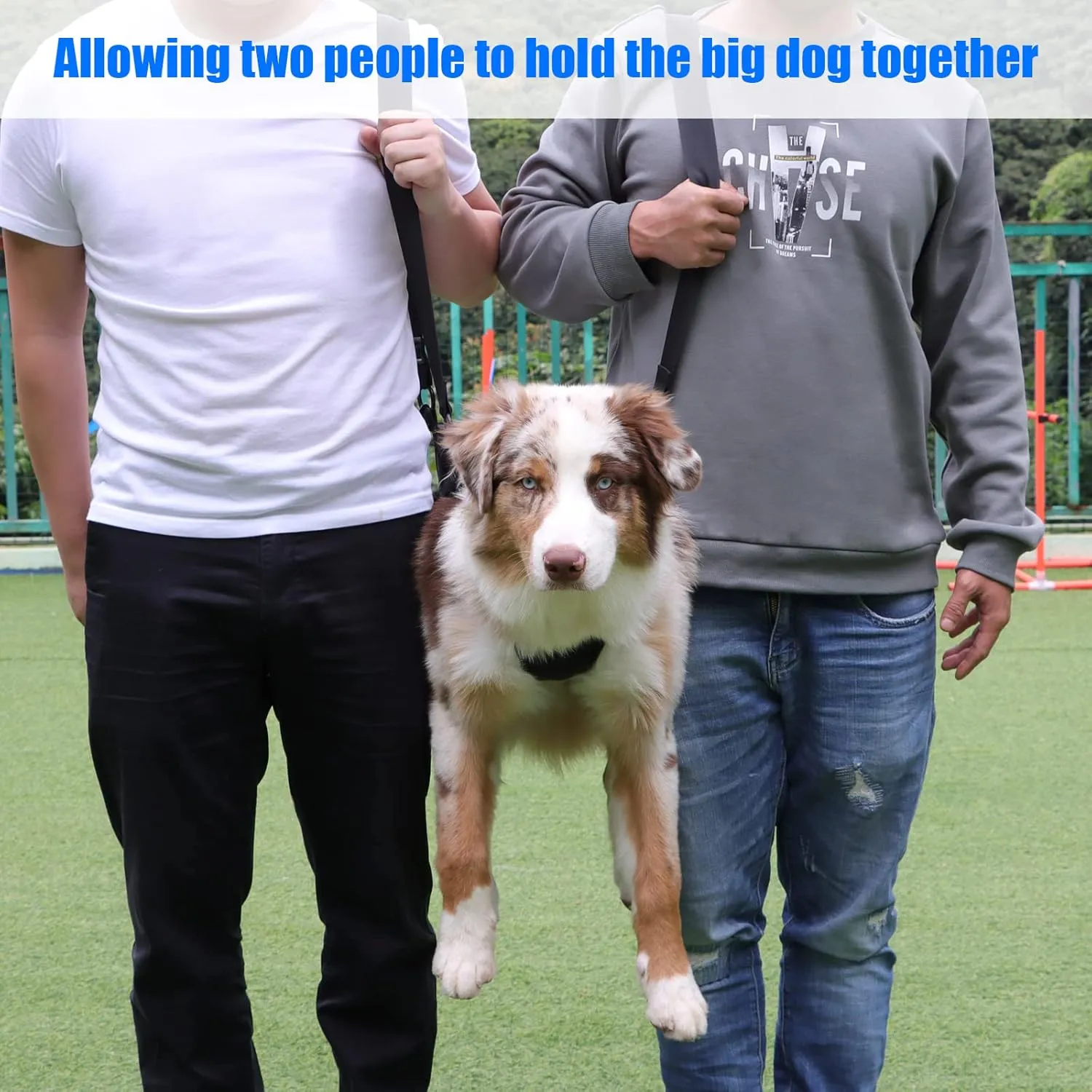 Dog Carry Sling, Emergency Backpack Pet Legs Support & Rehabilitation Dog Lift Harness for Large Dogs, Dog Carrier for Senior Dogs Joint Injuries, Arthritis, Up and Down Stairs (Blue, XL)