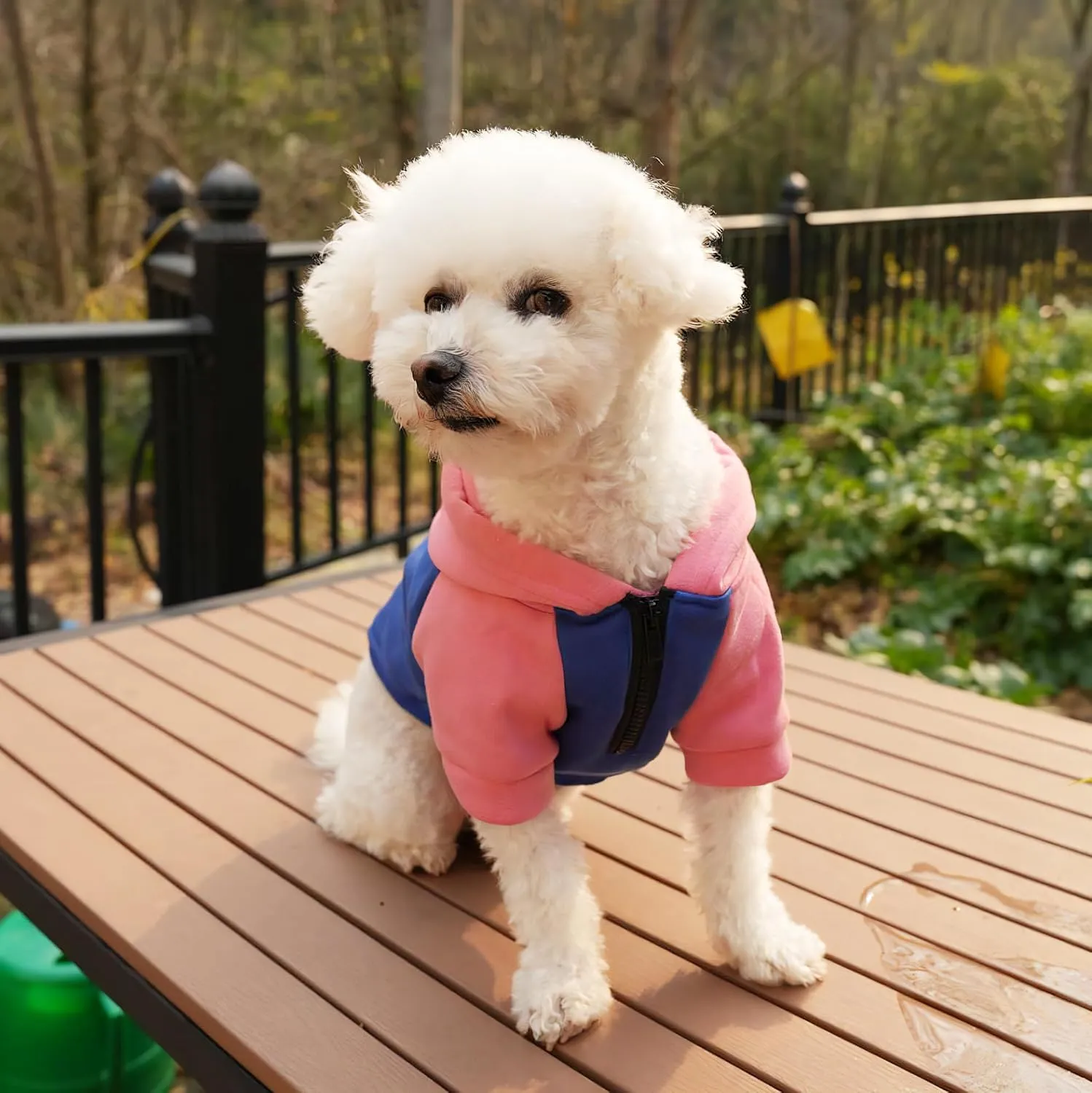 Dog Fleece Sweater Frenchie Clothes French Bulldog Sweater, Frenchie Dog Hoodie Sweatshirt Halloween Costume Winter Coat for Medium Dogs and Cats,Color Blocked,Pink,XL