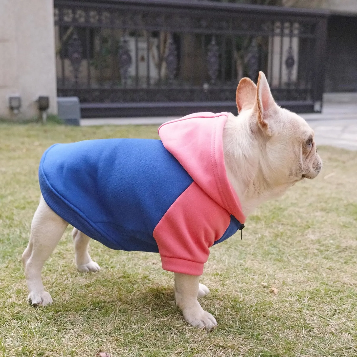 Dog Fleece Sweater Frenchie Clothes French Bulldog Sweater, Frenchie Dog Hoodie Sweatshirt Halloween Costume Winter Coat for Medium Dogs and Cats,Color Blocked,Pink,XL
