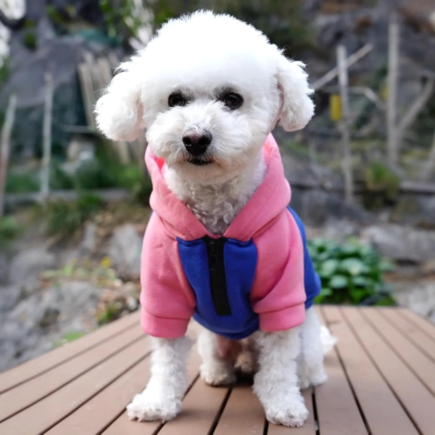 Dog Fleece Sweater Frenchie Clothes French Bulldog Sweater, Frenchie Dog Hoodie Sweatshirt Halloween Costume Winter Coat for Medium Dogs and Cats,Color Blocked,Pink,XL