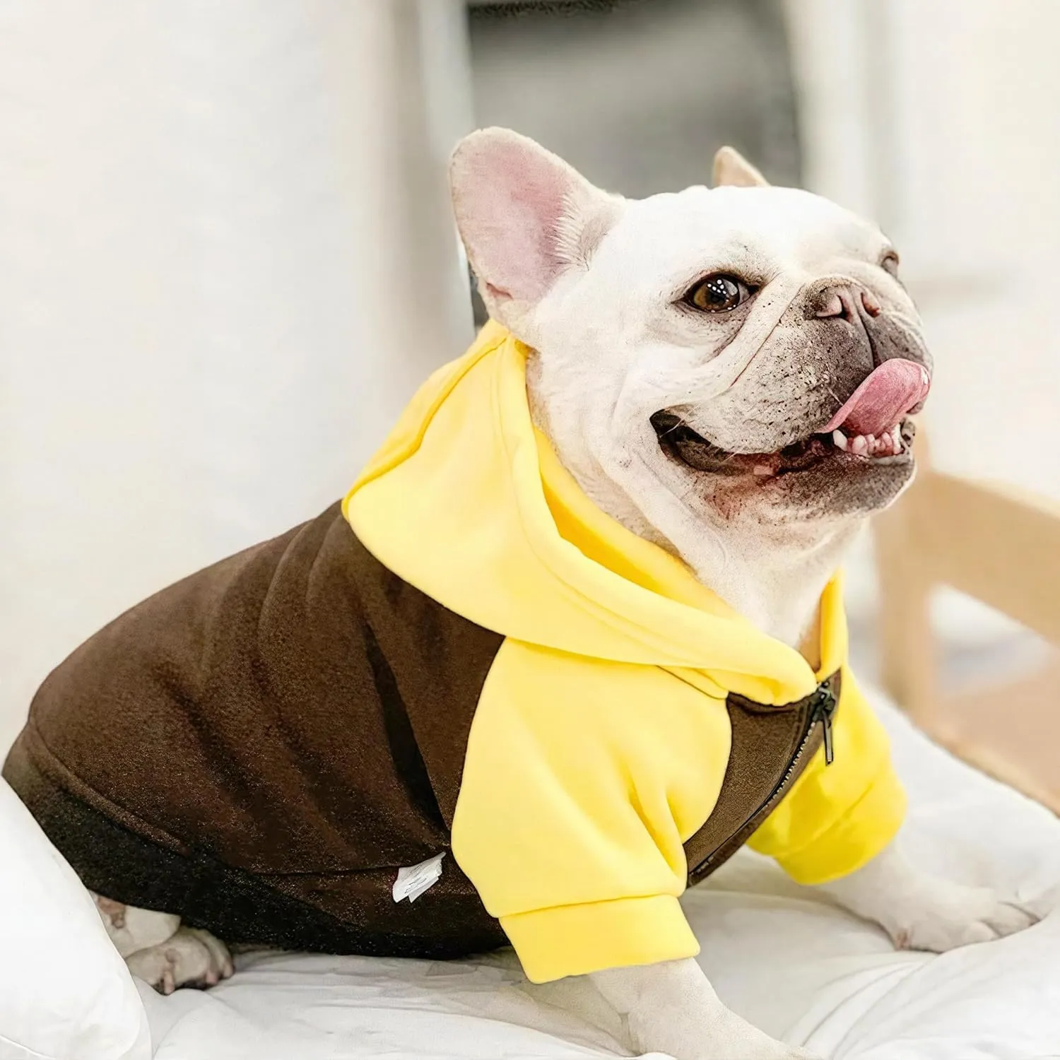 Dog Fleece Sweater Frenchie Clothes French Bulldog Sweater, Frenchie Dog Hoodie Sweatshirt Halloween Costume Winter Coat for Medium Dogs and Cats,Color Blocked,Yellow, XL