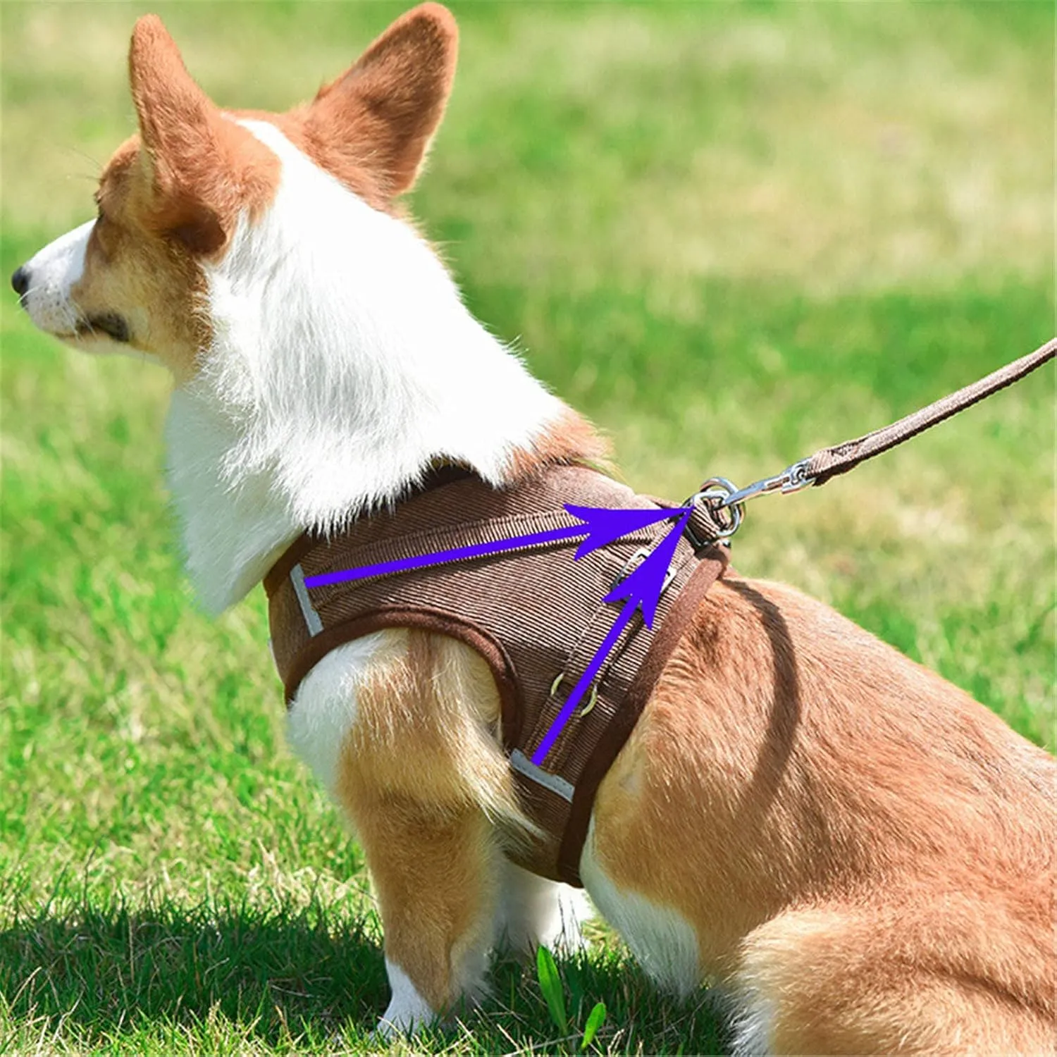 Dog Harness Tan Step in Harness for Dog No Pull Adjustable Leash Sets Reflective Mesh Vest Durable for Puppy Comfortable Dog Leash Dog Harness One Clip