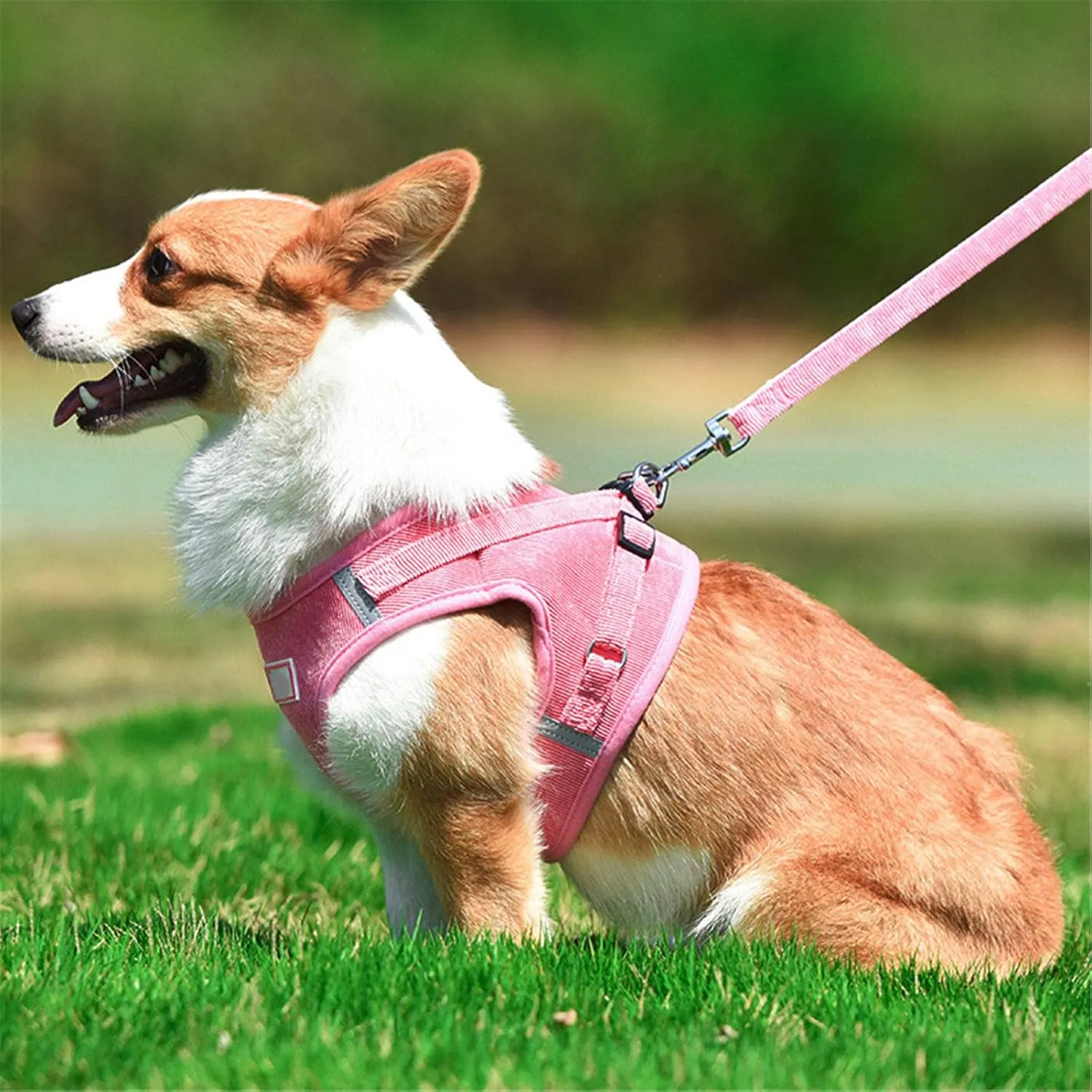 Dog Harness Tan Step in Harness for Dog No Pull Adjustable Leash Sets Reflective Mesh Vest Durable for Puppy Comfortable Dog Leash Dog Harness One Clip