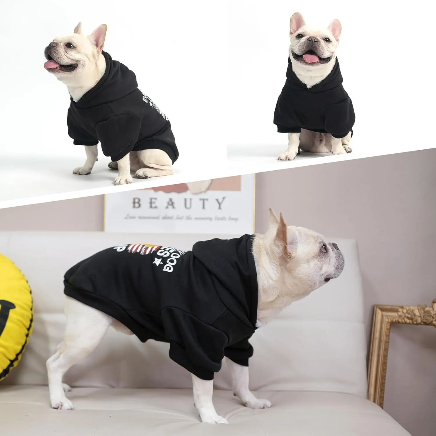 EXPAWLORER Dog Hoodie - Funny Costume Outfit Warm Fleece Sweater With Leash Hole, Sweatshirt With Hood, Cozy Soft Clothes for Small Medium Large Dogs, Small