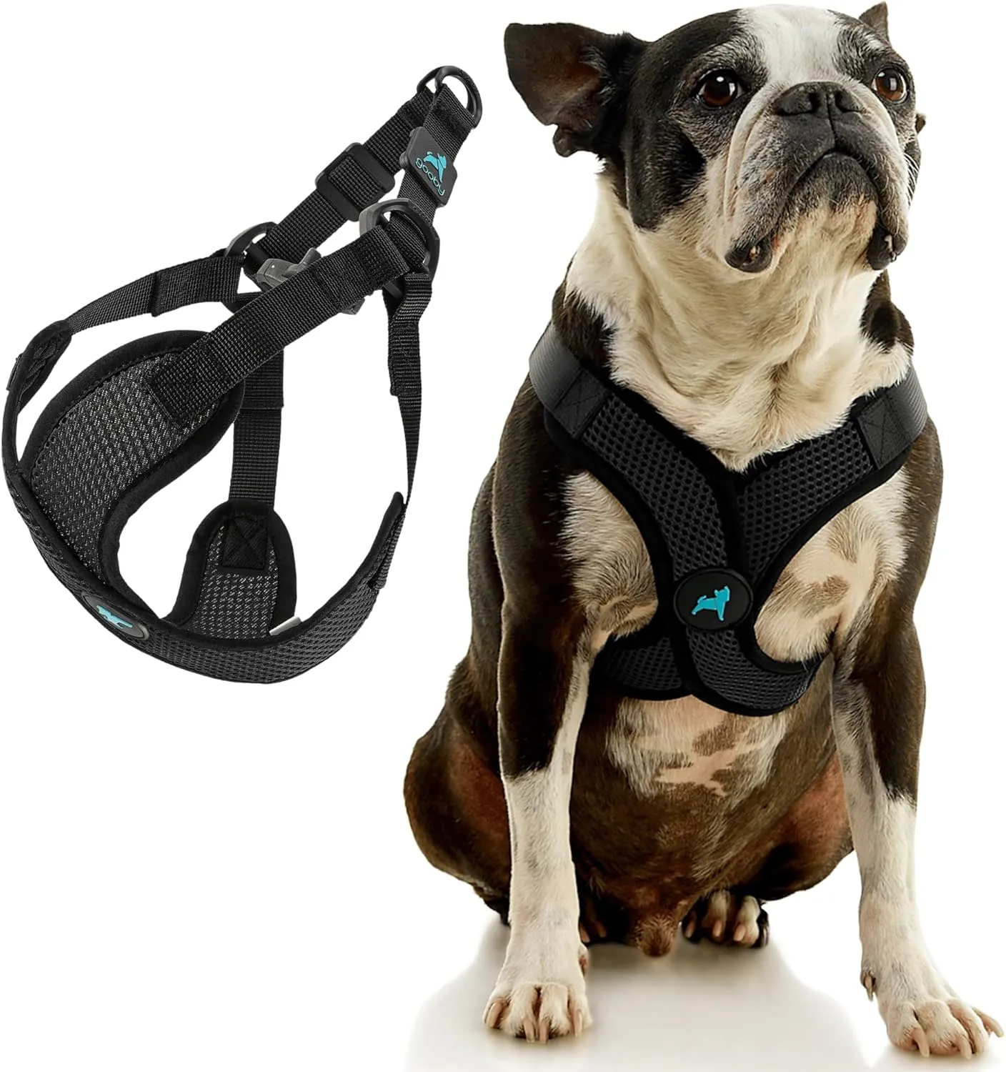 Gooby Comfort X Step in Lite Dog Harness - Choke Free, Escape Free with Light Breathable Mesh - Step in Dog Harness for Small and Medium Dogs - Quick Release Buckle, Metal D-Rings - Black, Medium