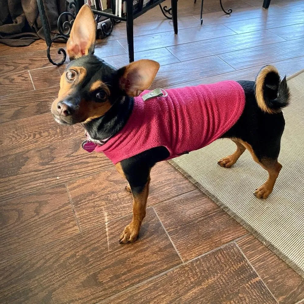Gooby - Fleece Vest, Small Dog Pullover Fleece Jacket with Leash Ring, Fuchsia, Medium
