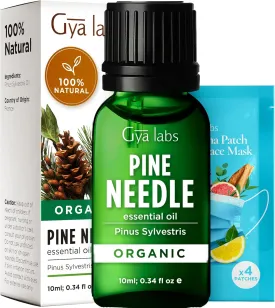 Gya Labs Organic Pine Essential Oil for Diffuser - 100% Pure Natural Pine Needle Essential Oil Organic for Skin, Hair, Candle Making (0.34 Fl Oz)