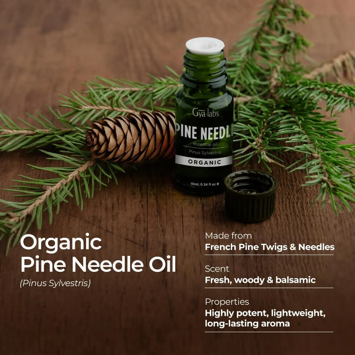 Gya Labs Organic Pine Essential Oil for Diffuser - 100% Pure Natural Pine Needle Essential Oil Organic for Skin, Hair, Candle Making (0.34 Fl Oz)