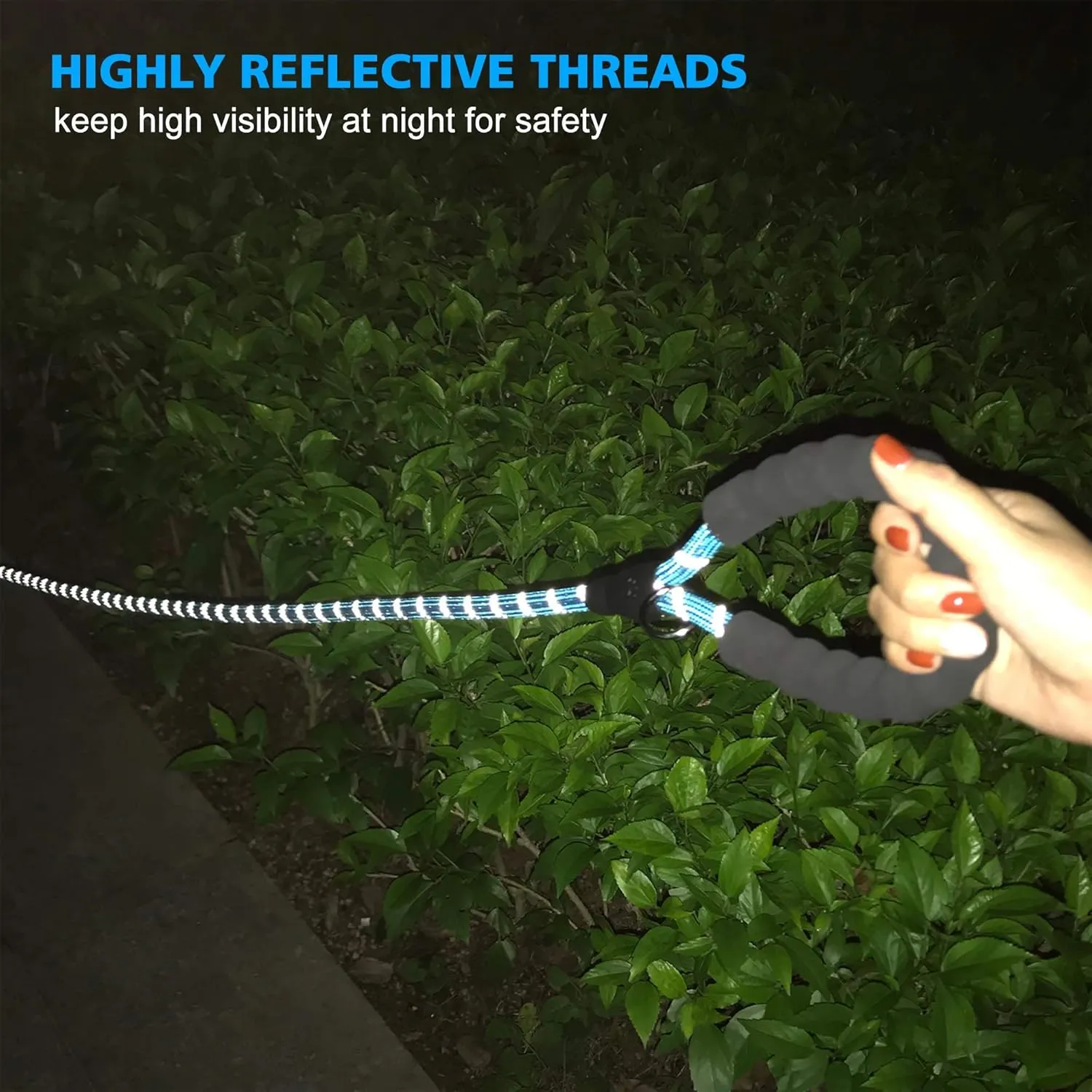 Heavy Duty Dog Leash - Comfortable Padded Handle, 5 ft Long - Dog Leashes for Small Medium Large Dogs (Leash Collar M Neck 16"-20", Blue)