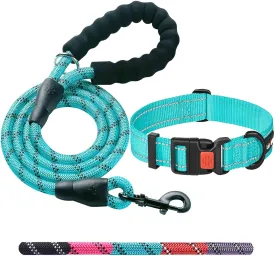 Heavy Duty Dog Leash - Comfortable Padded Handle, 5 ft Long - Dog Leashes for Small Medium Large Dogs (Leash Collar M Neck 16"-20", Blue)