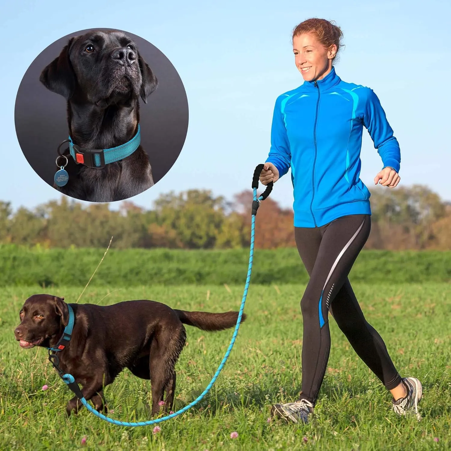 Heavy Duty Dog Leash - Comfortable Padded Handle, 5 ft Long - Dog Leashes for Small Medium Large Dogs (Leash Collar M Neck 16"-20", Blue)