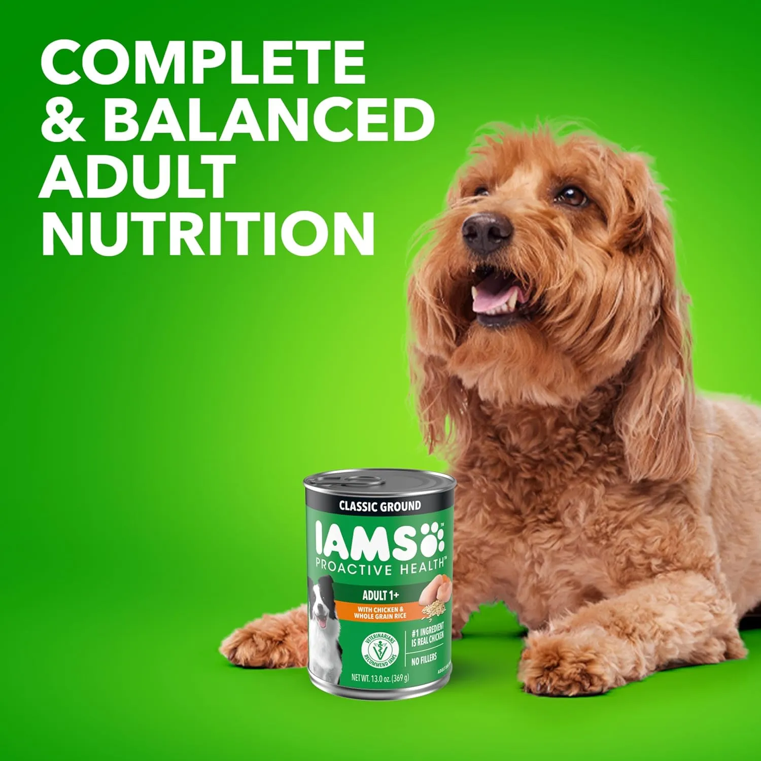 IAMS Proactive Health Adult Wet Dog Food Classic Ground with Chicken and Rice, 13 oz. Cans, Pack of 12