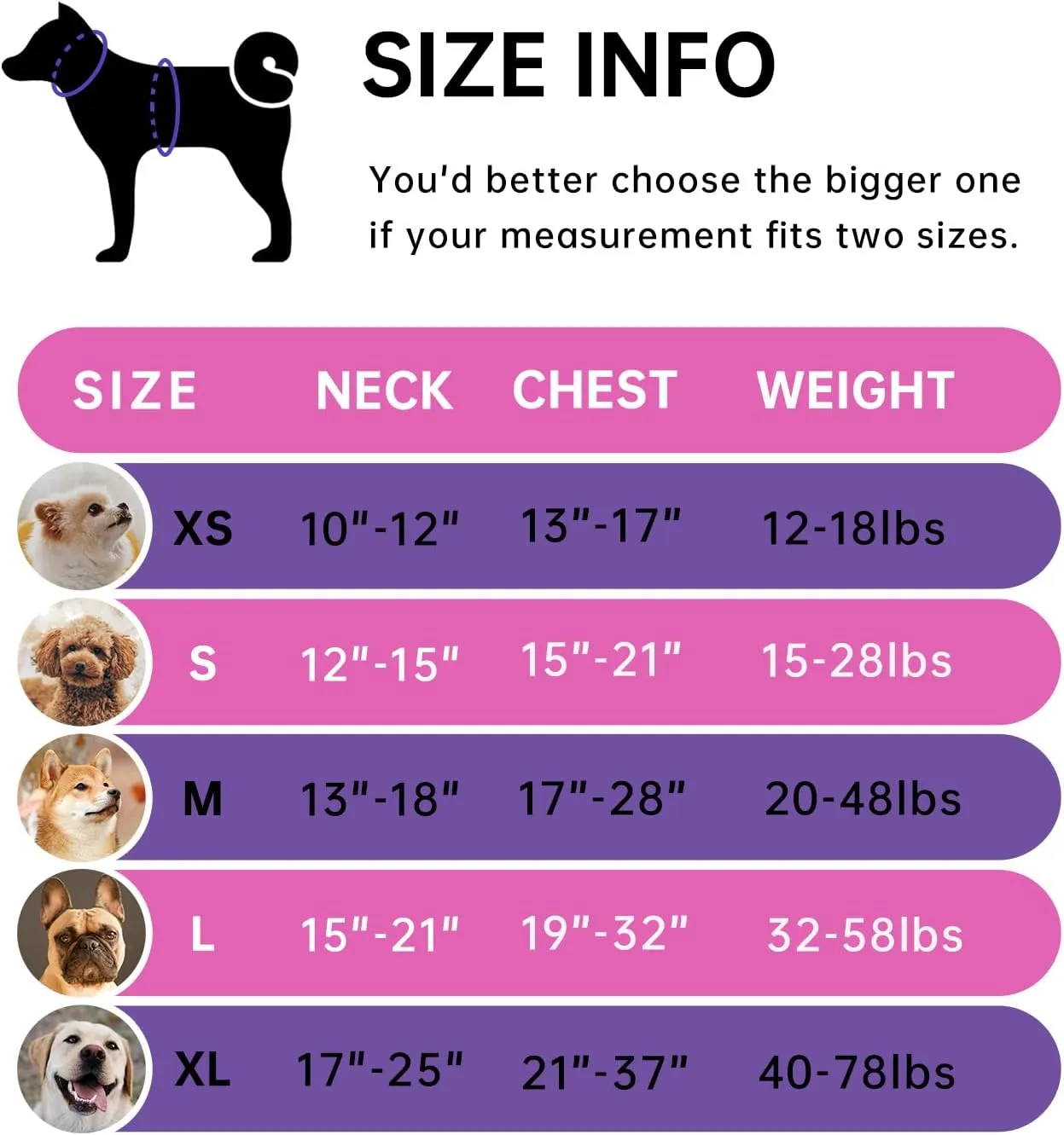 IVY&LANE No Pull Dog Harness for Large Dogs, Dog Vest Harness with Leash, Safety Belt and Storage Strap, Fully Adjustable Harness, 360 Reflective Strip, Soft Handle (Fuchsia Pink, L)