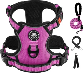 IVY&LANE No Pull Dog Harness for Large Dogs, Dog Vest Harness with Leash, Safety Belt and Storage Strap, Fully Adjustable Harness, 360 Reflective Strip, Soft Handle (Fuchsia Pink, L)