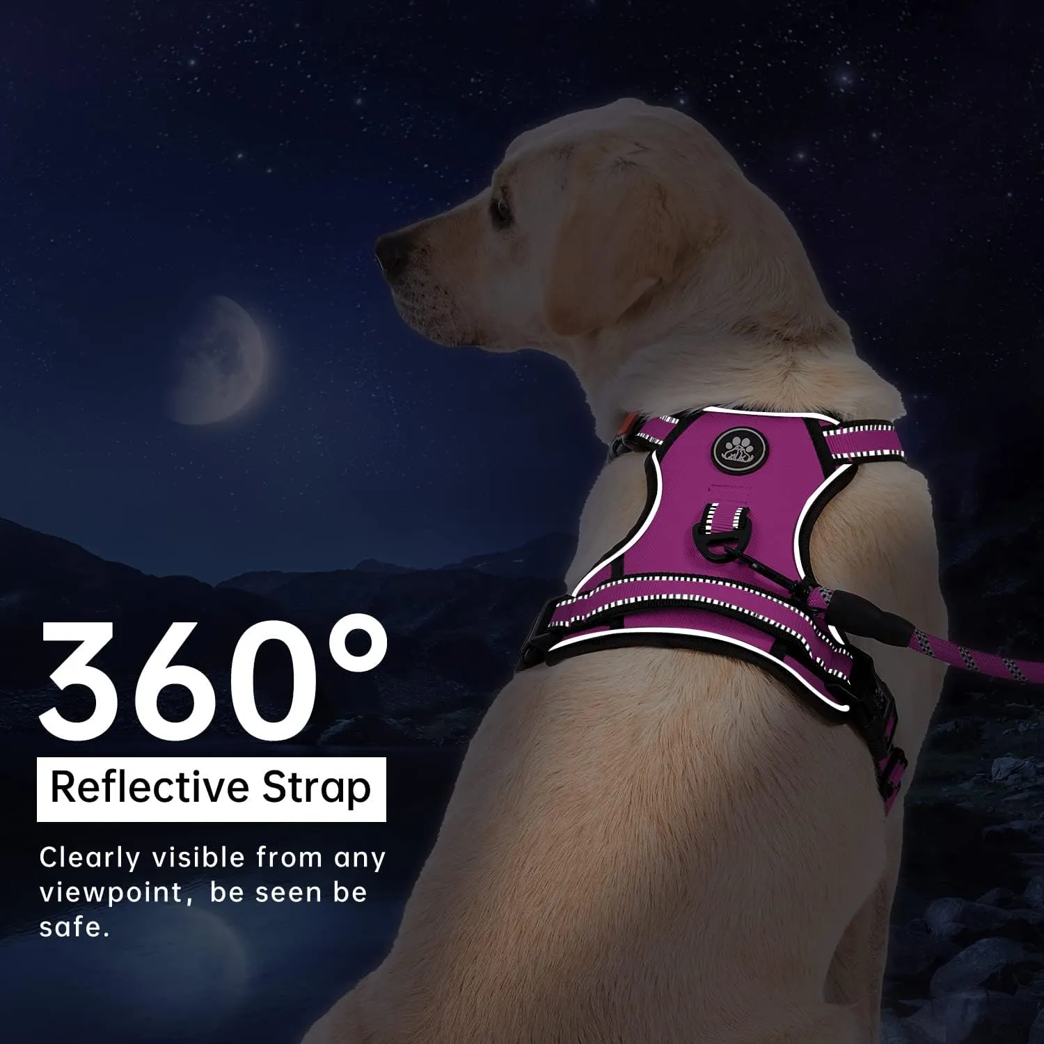 IVY&LANE No Pull Dog Harness for Large Dogs, Dog Vest Harness with Leash, Safety Belt and Storage Strap, Fully Adjustable Harness, 360 Reflective Strip, Soft Handle (Fuchsia Pink, L)