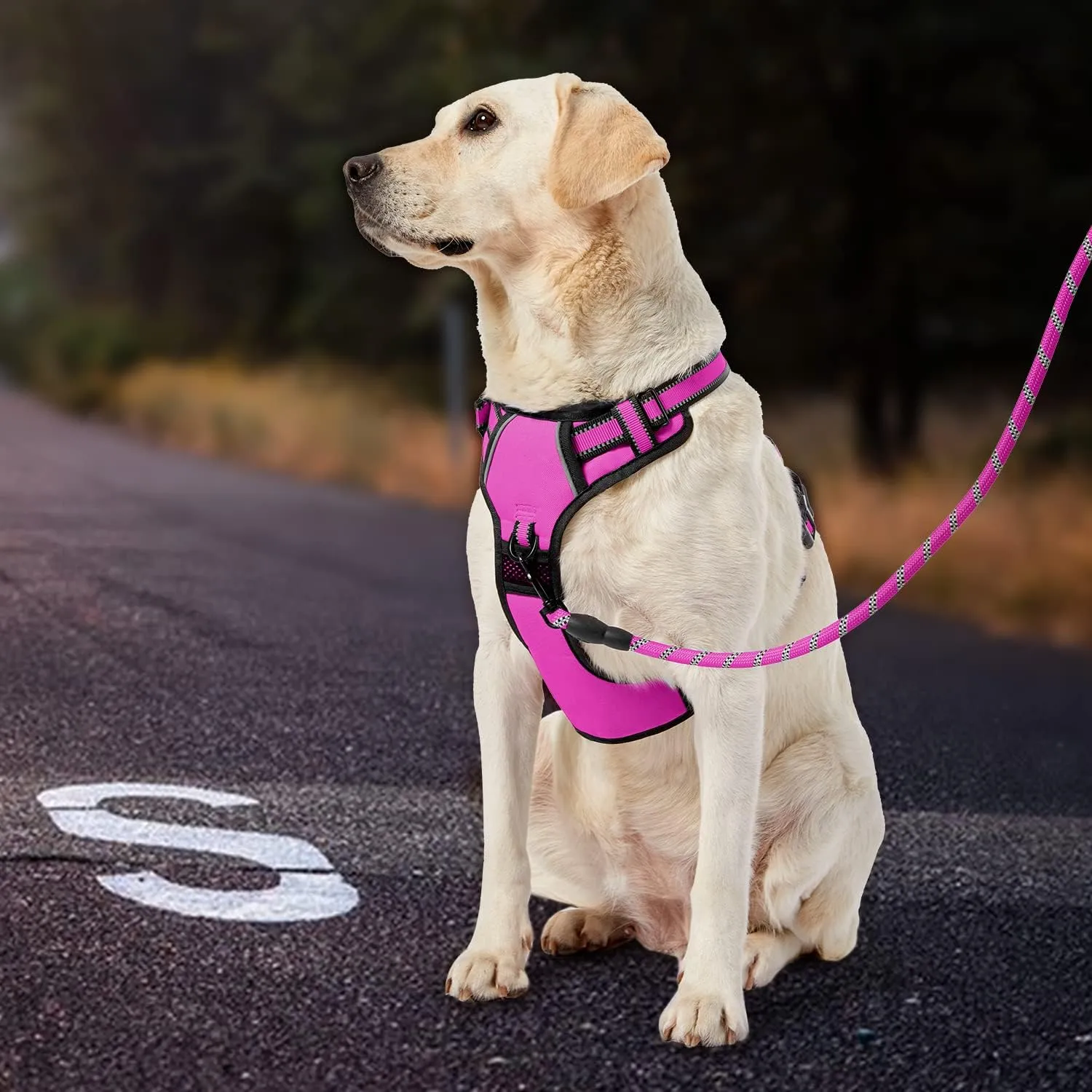 IVY&LANE No Pull Dog Harness for Large Dogs, Dog Vest Harness with Leash, Safety Belt and Storage Strap, Fully Adjustable Harness, 360 Reflective Strip, Soft Handle (Fuchsia Pink, L)