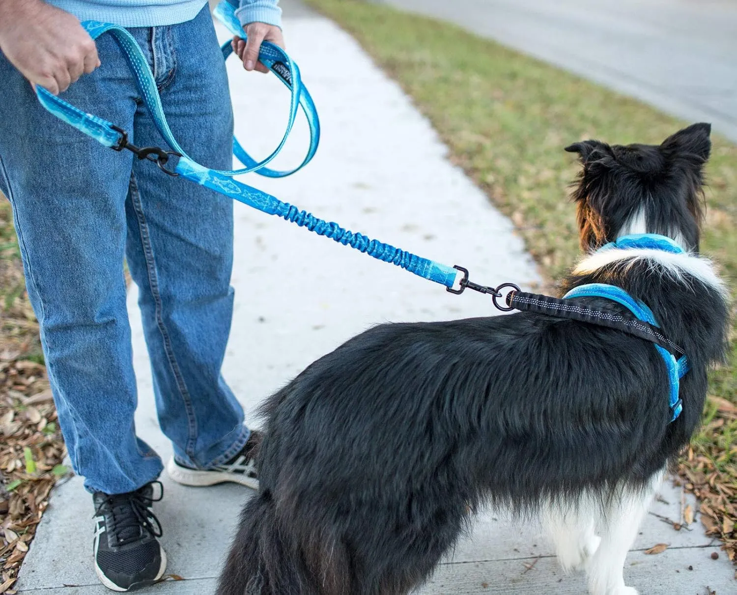 Leash Boss ,18 ( 45.7 ), - ()