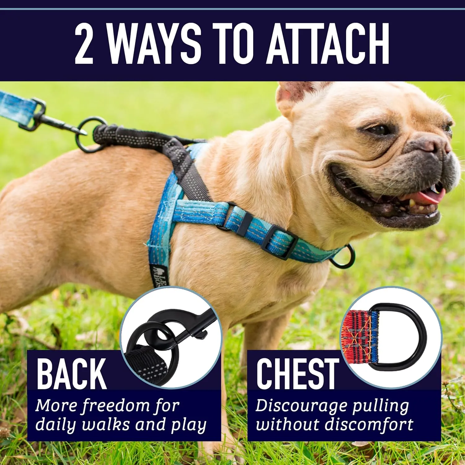 Leash Boss No Pull ,,,(,)