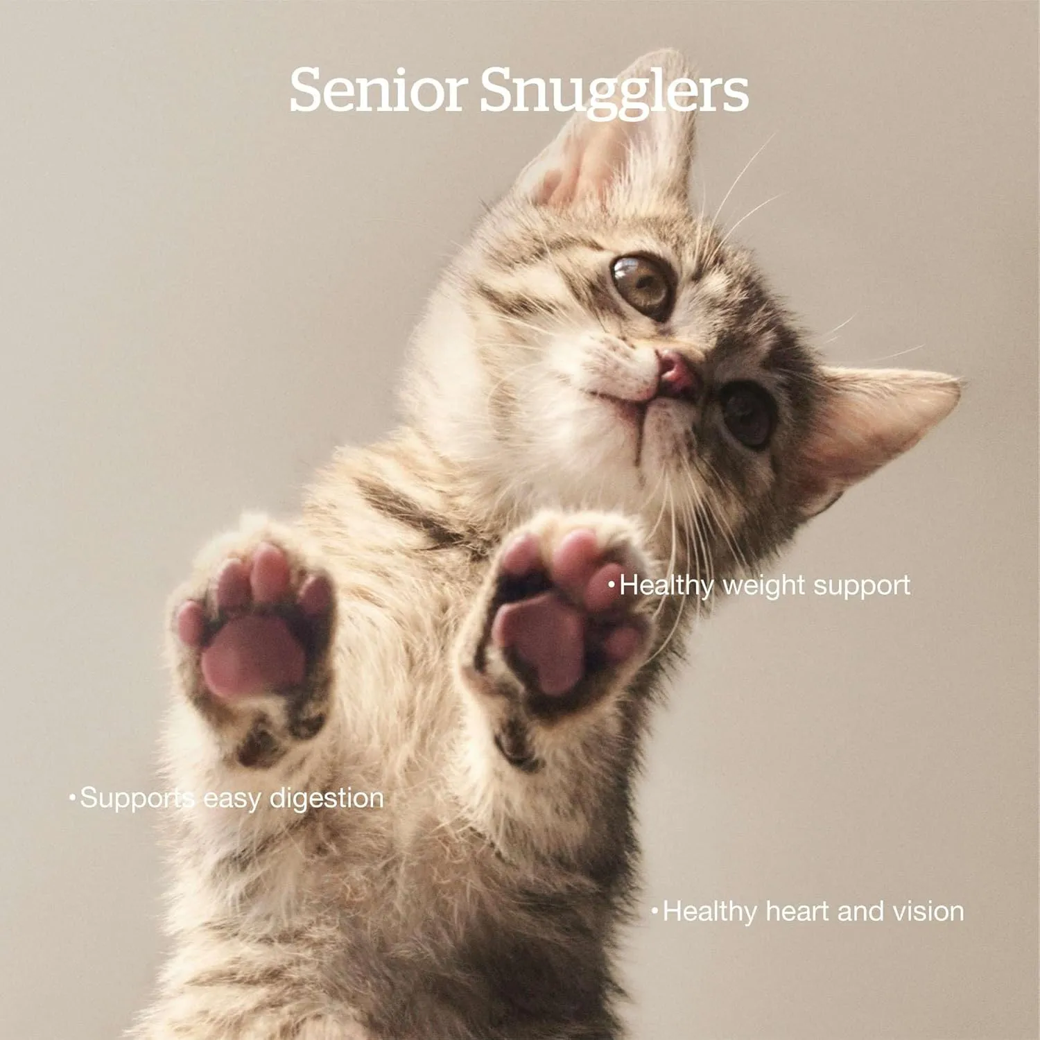 Now Fresh Grain-Free, Dry Cat Food, Turkey, Salmon and Duck Kibble, Real Meat and Fish Senior Recipe, 8 lb Bag