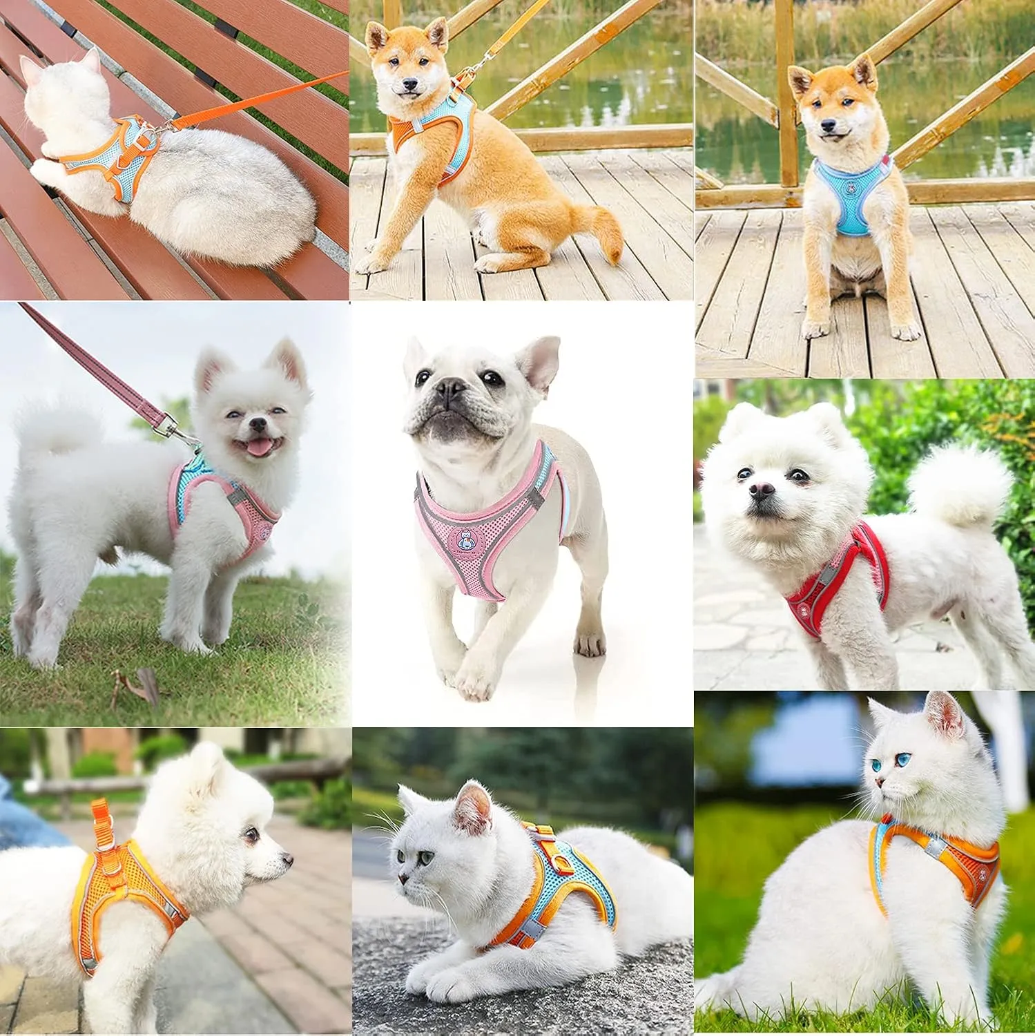 Small Dog Harness,Puppy Harness and Leash Set for Walking Escape Proof,Comfortable Air Mesh Dog Vest Harness with Reflective Strip, Step-in Outdoor Pet Vest for Dog Breeds