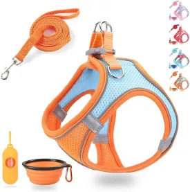 Small Dog Harness,Puppy Harness and Leash Set for Walking Escape Proof,Comfortable Air Mesh Dog Vest Harness with Reflective Strip, Step-in Outdoor Pet Vest for Dog Breeds