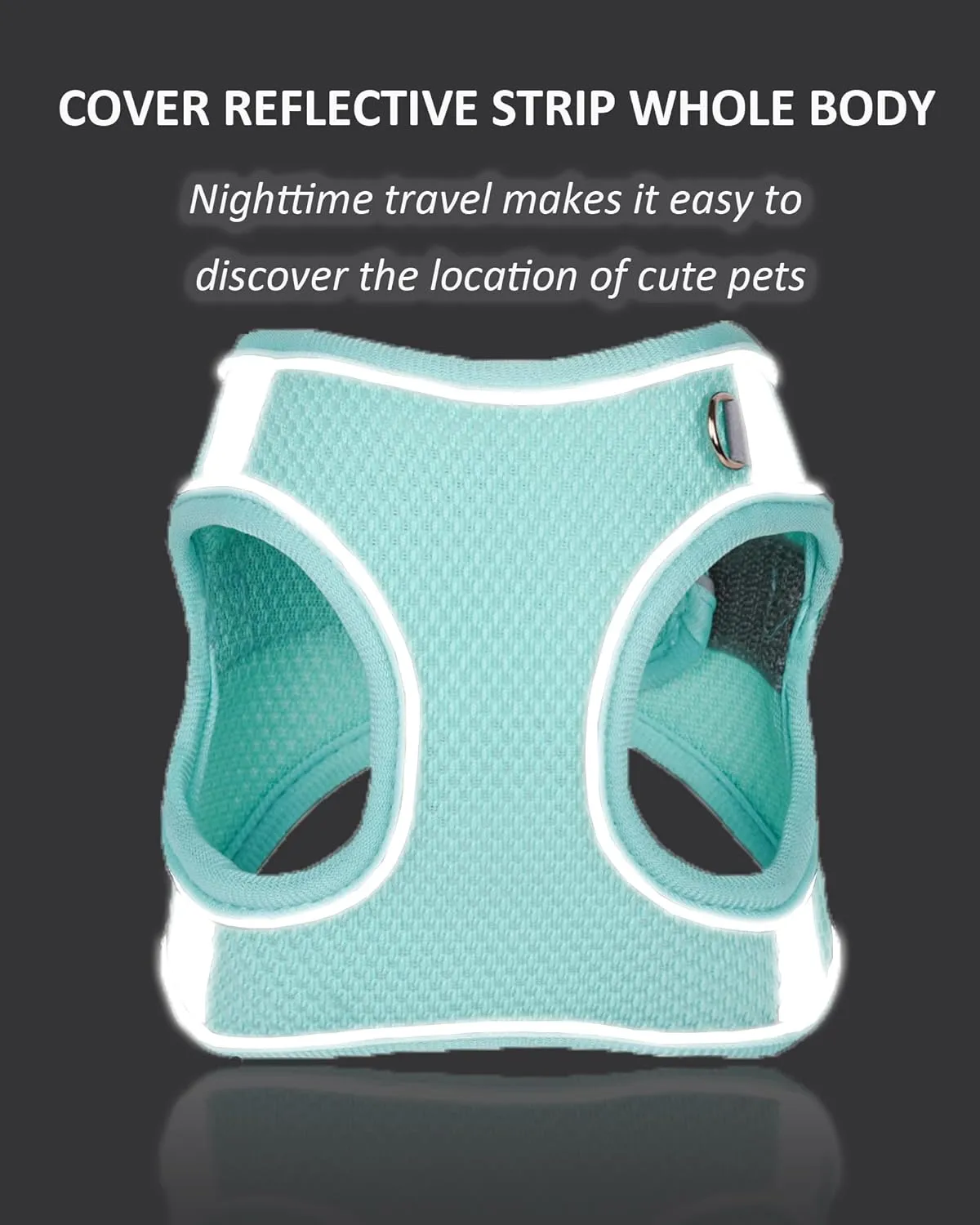 Solmoony Dog Harness for Small Medium Large Dogs No Pull, Puppy and Leash Set, Dogs, Step in Harness, mesh Harness. (Bule, S)