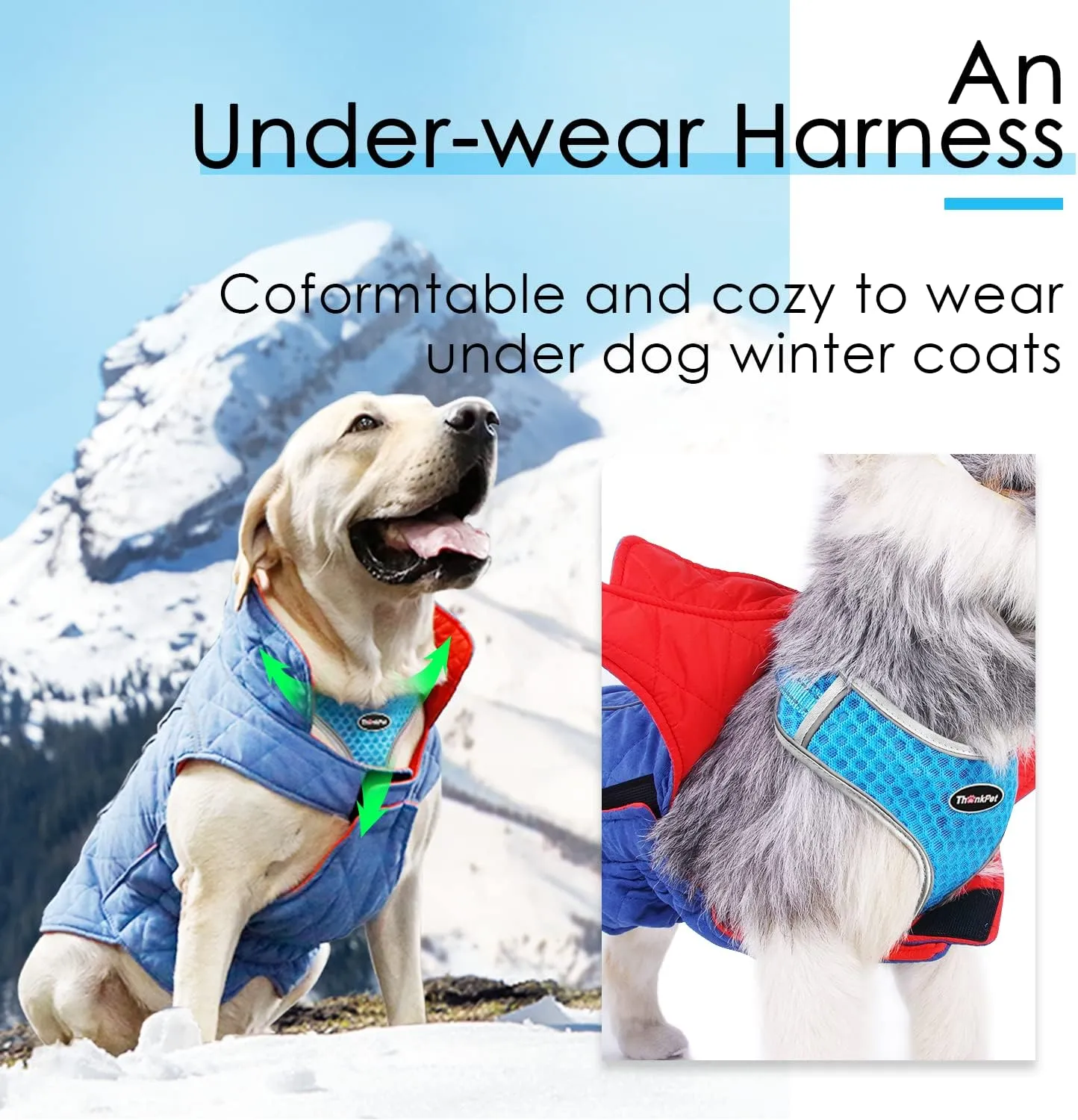 ThinkPet Reflective Breathable Soft Air Mesh No Pull Puppy Choke Free Over Head Vest Harness for Puppy Small Medium Dogs and Cats Light Blue Medium